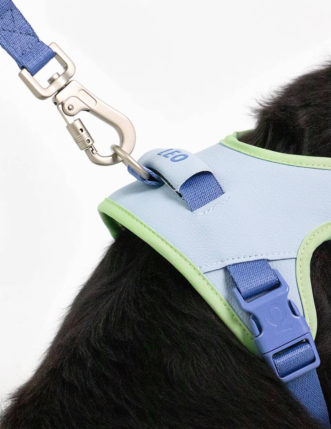 Hug Premium Leash