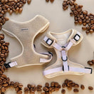 Pettorina Teddy Cappuccino