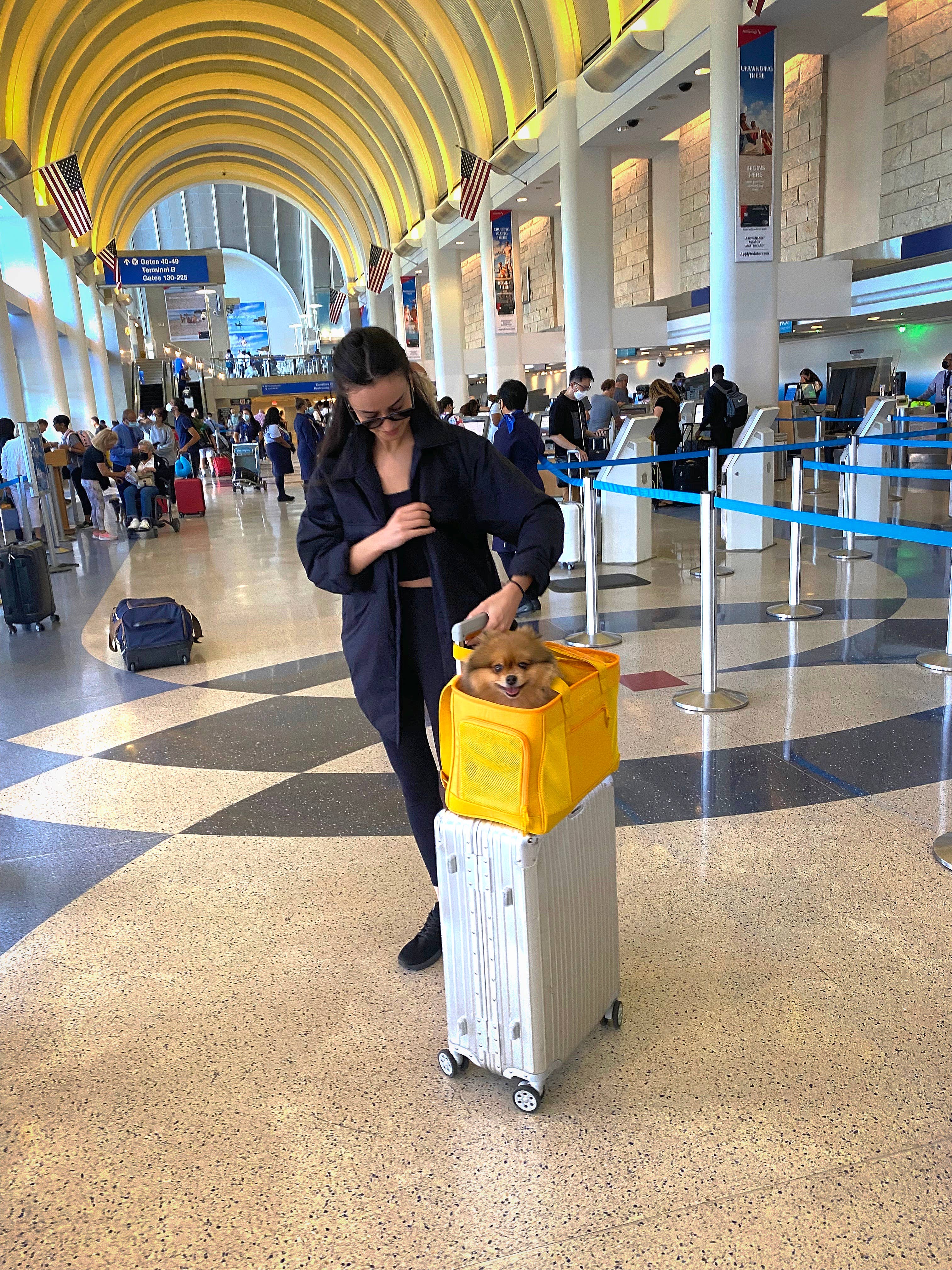 Sac de transport pour animaux Sunburst