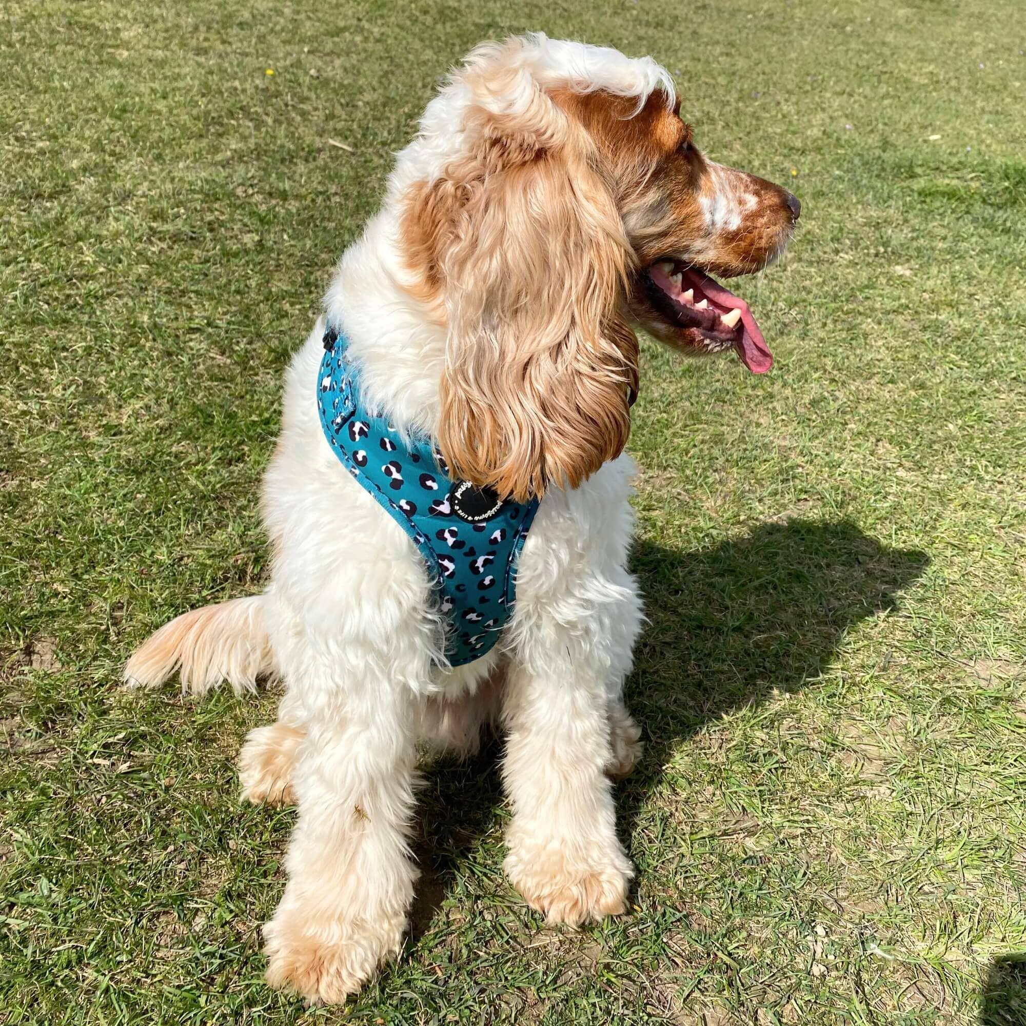 Green Leopard Leash