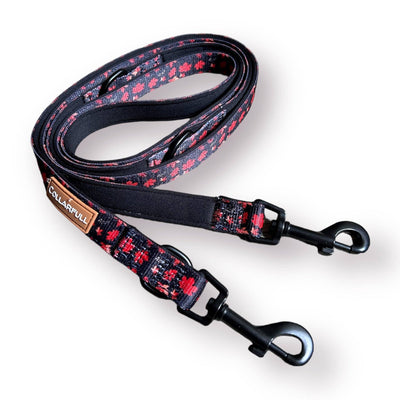 Autumn leaves adjustable leash