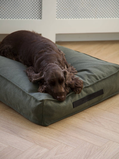 Cuscino per cani Hygge Forrest