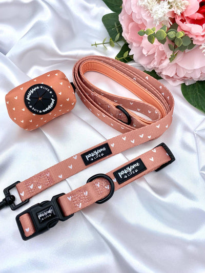 Love Is Leash