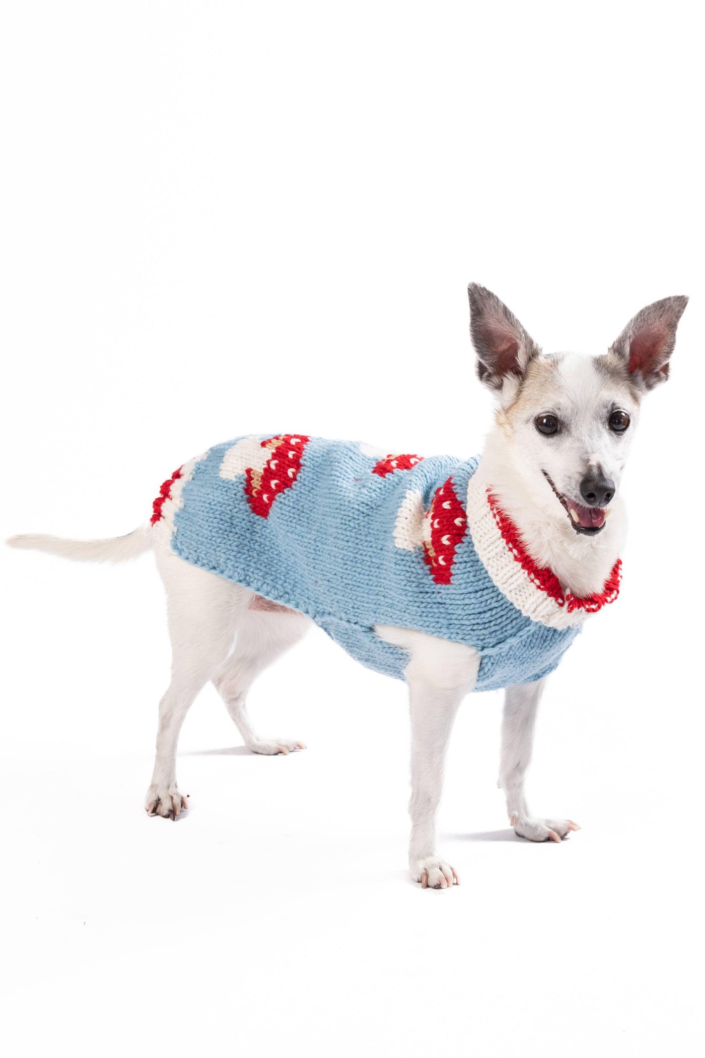 Mushroom wool sweater