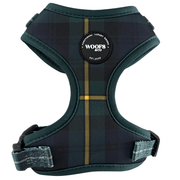 Harnais Tartan