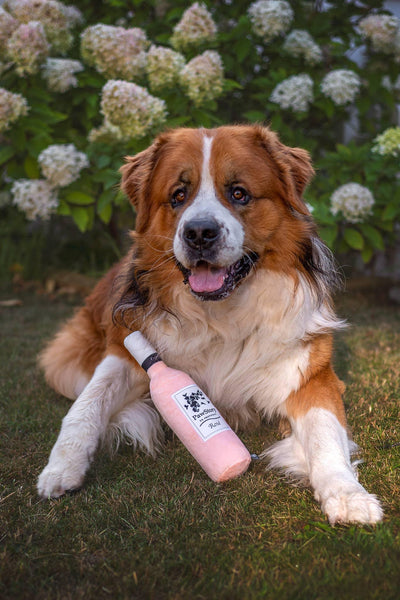 Jouet peluche PawStory en Provence