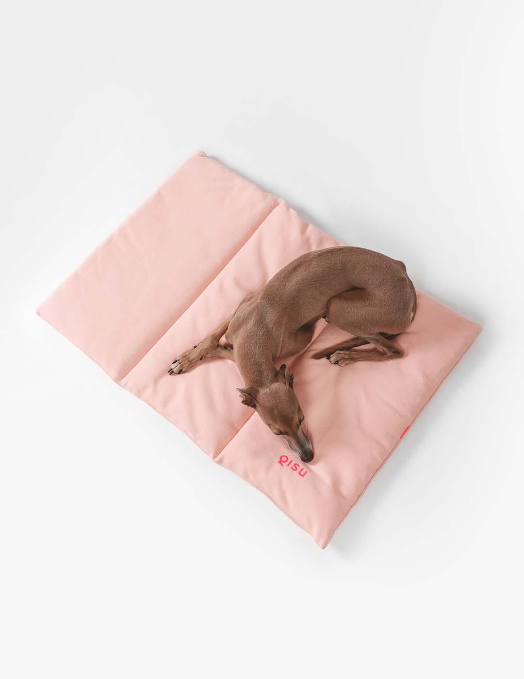 Lit nomade pour chien