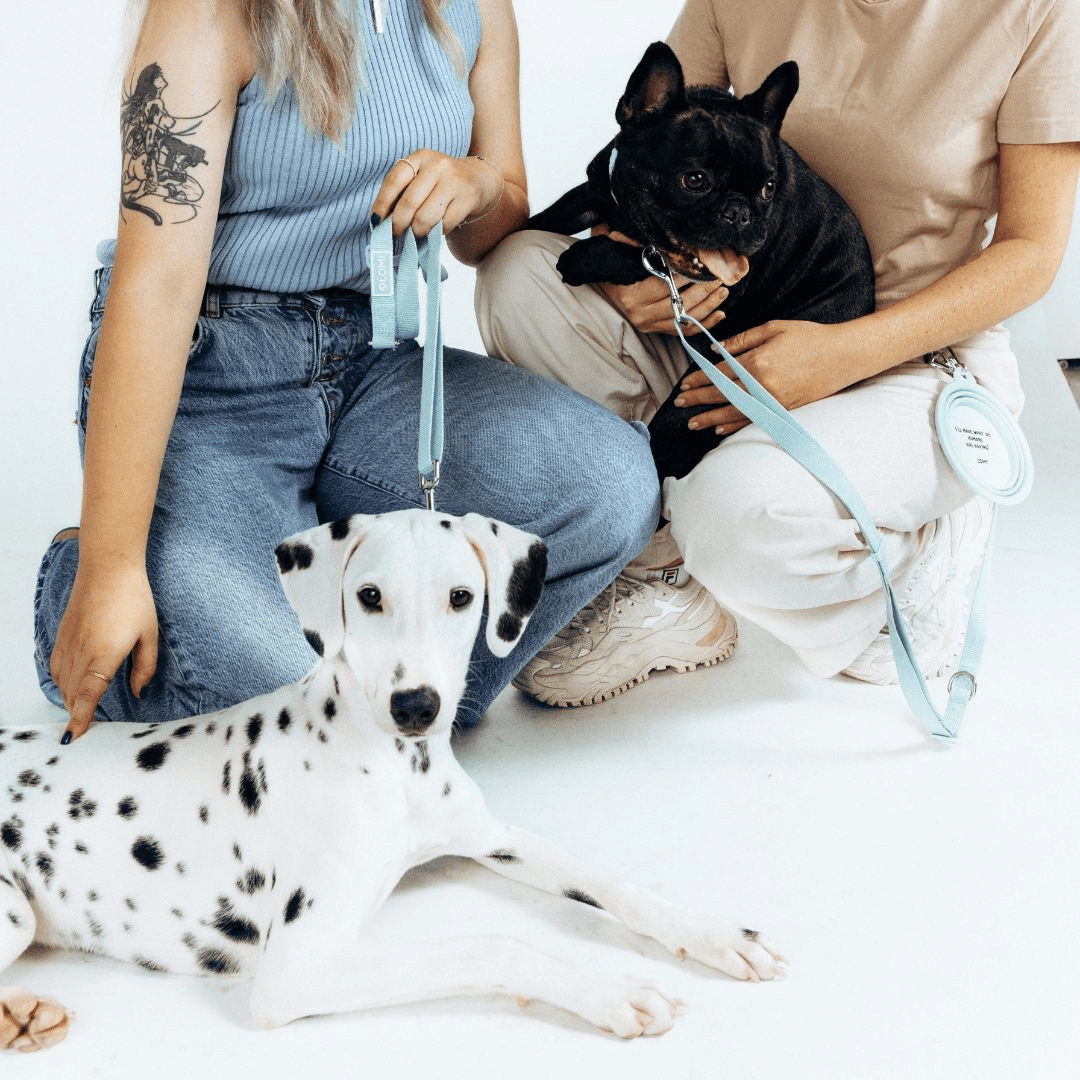 Lomi multifunctional leash