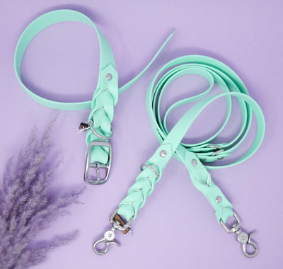 Deluxe Leash - Caribbean Green