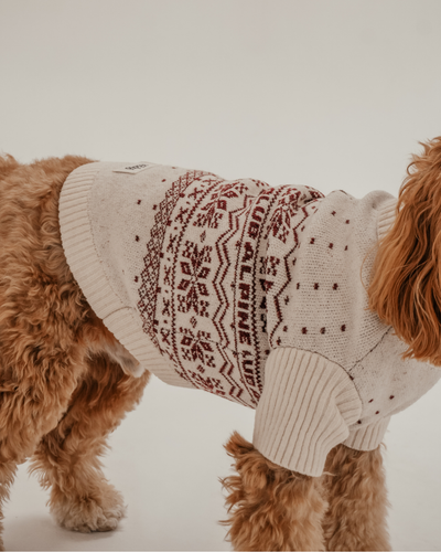 By Teddy - Snowberry | Pull Après-ski en maille à col roulé - XS