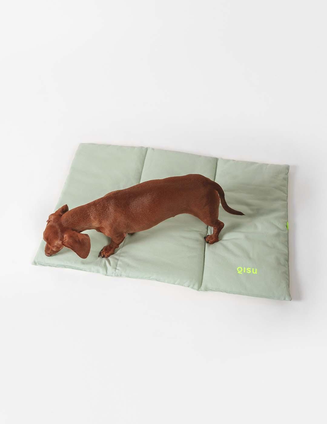 Lit nomade pour chien