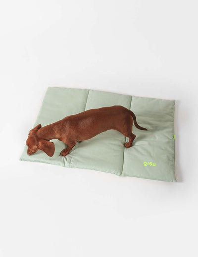 Nomadic dog bed