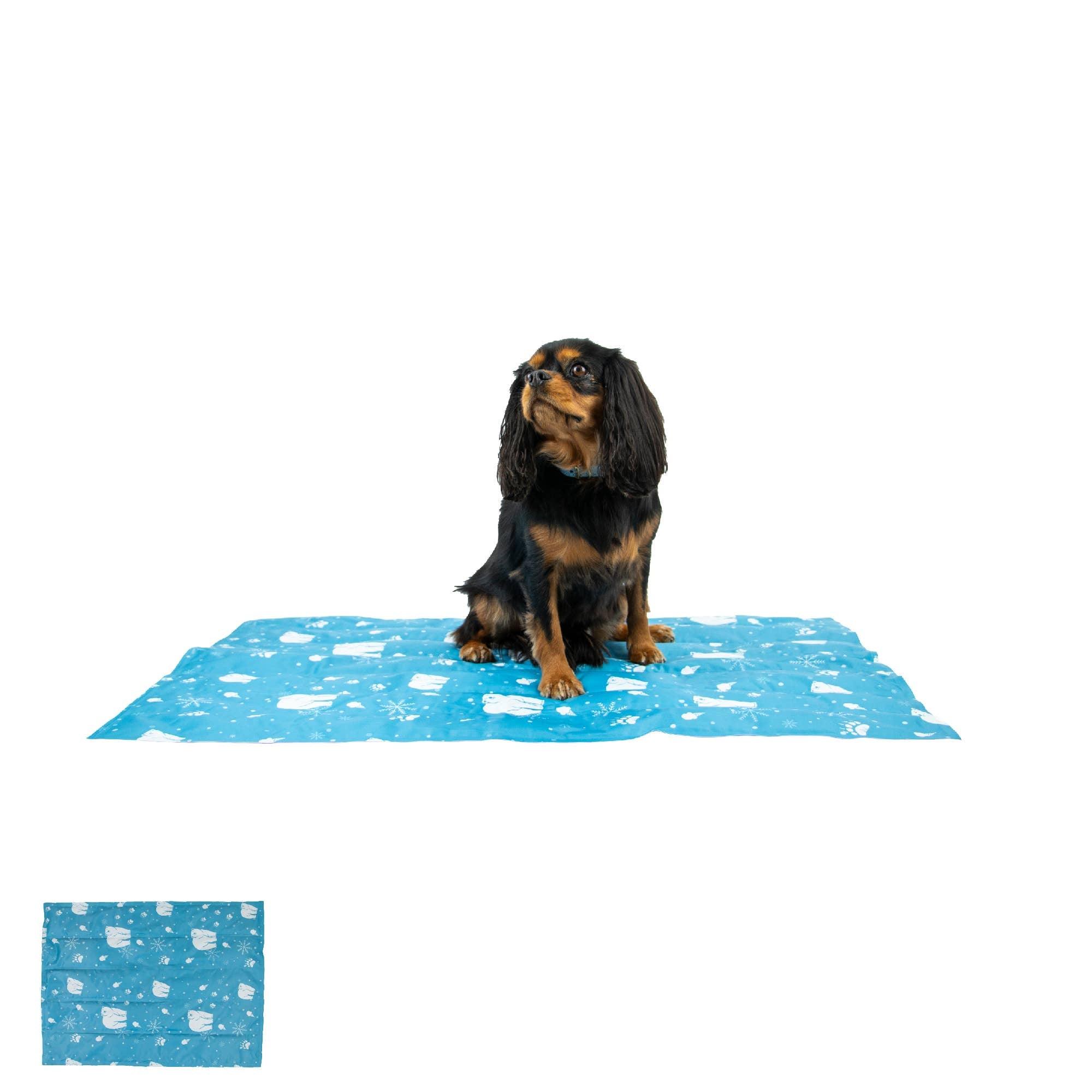 Tapis rafraîchissant