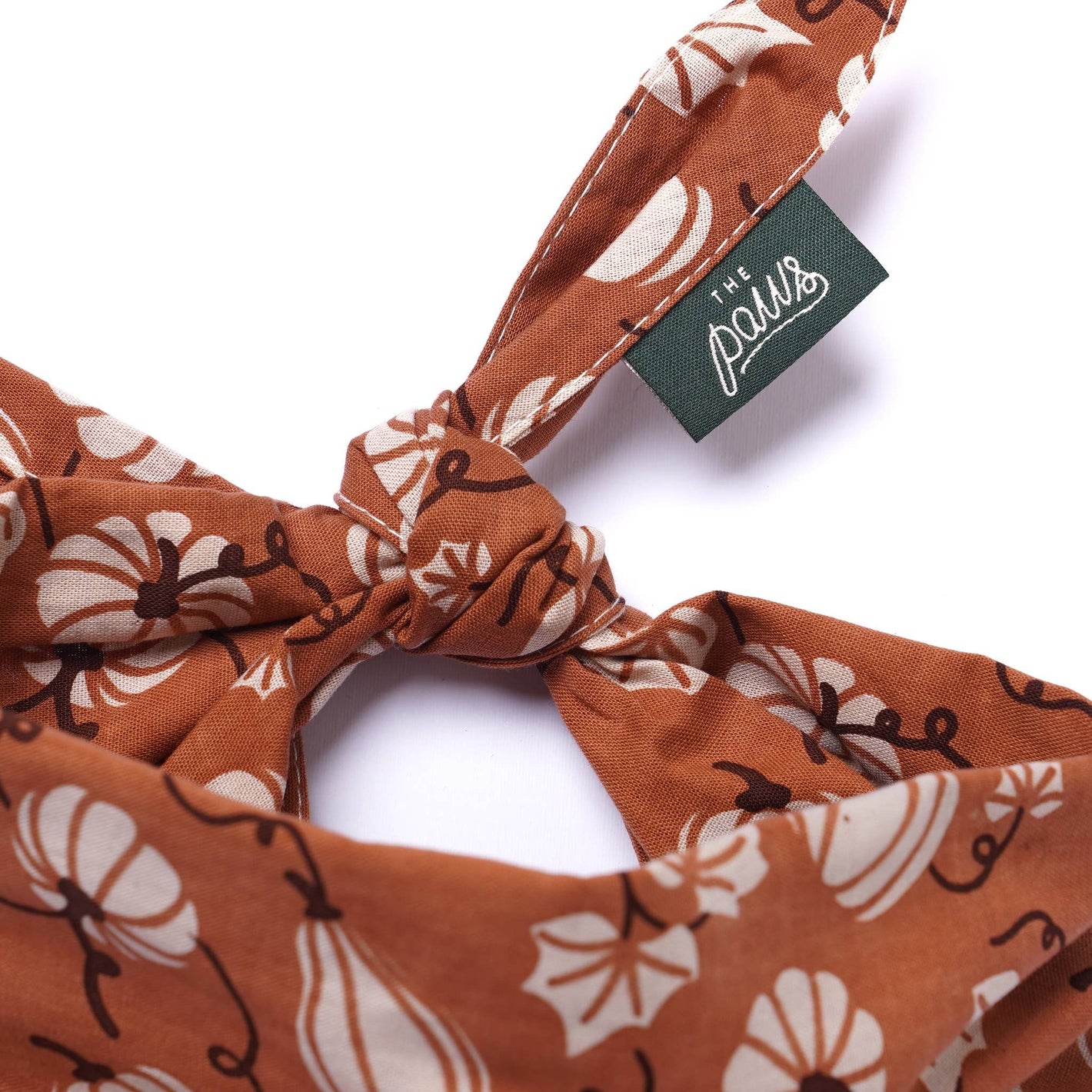 Bandana Kürbisse