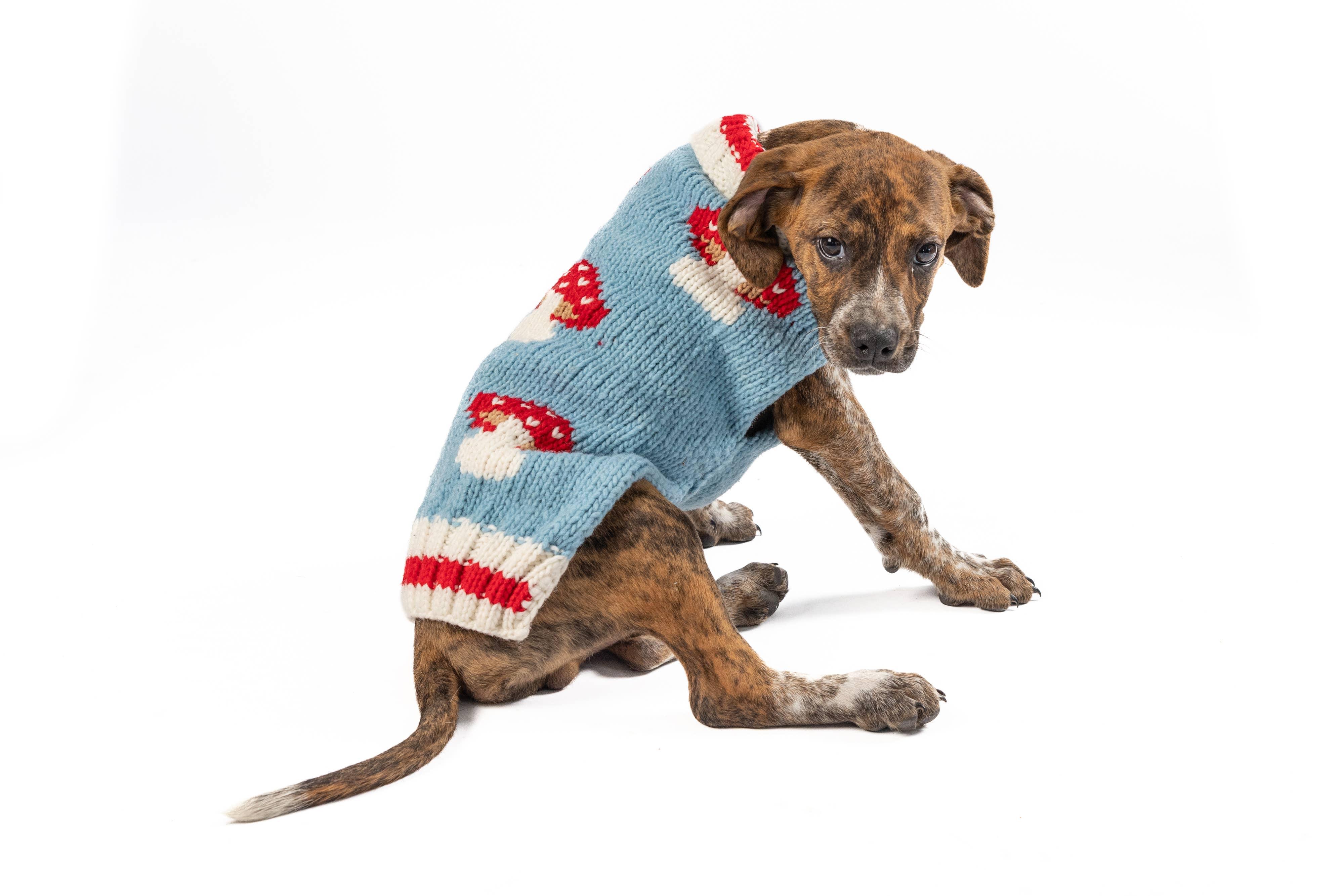 Pull en laine Mushroom