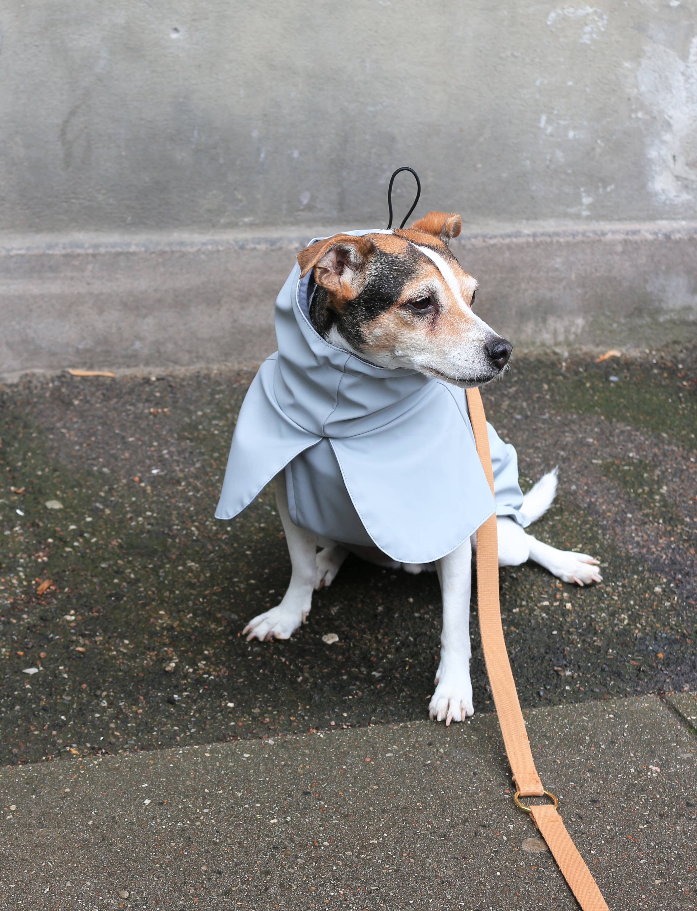 Imperméable pour chien gris clair