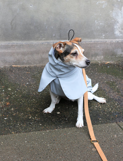Lichtgrijze regenjas voor honden
