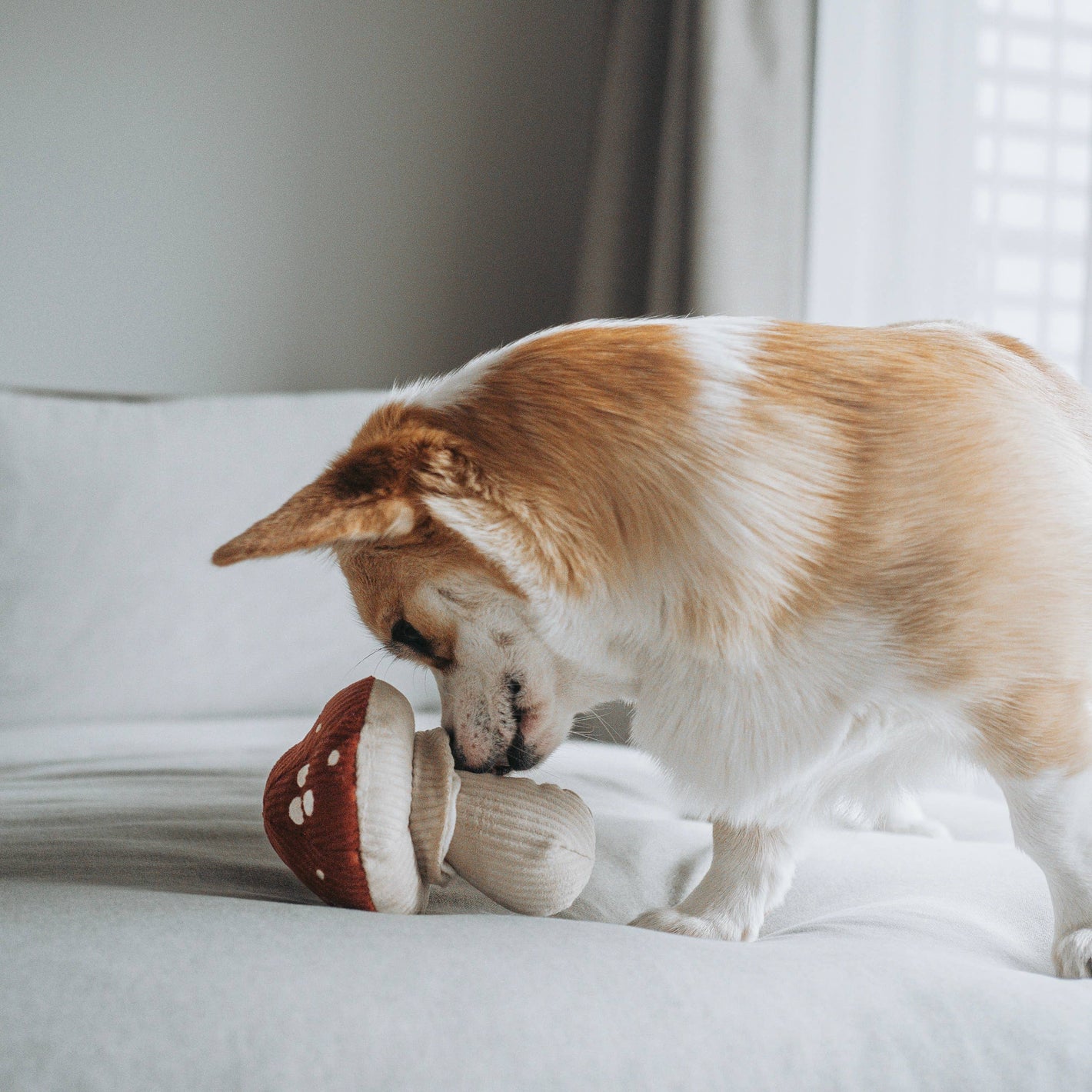 Mushroom plush toy