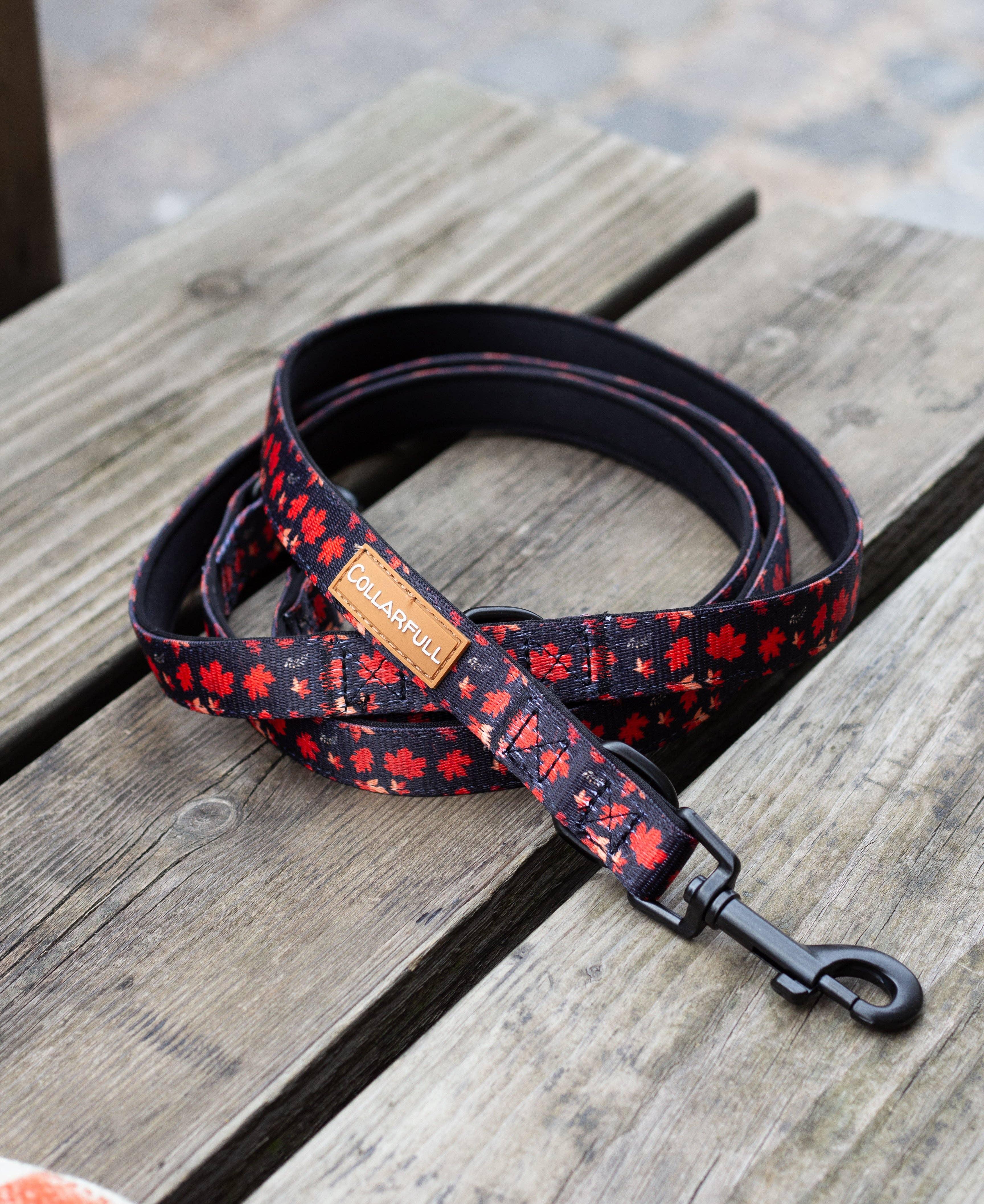 Autumn leaves adjustable leash