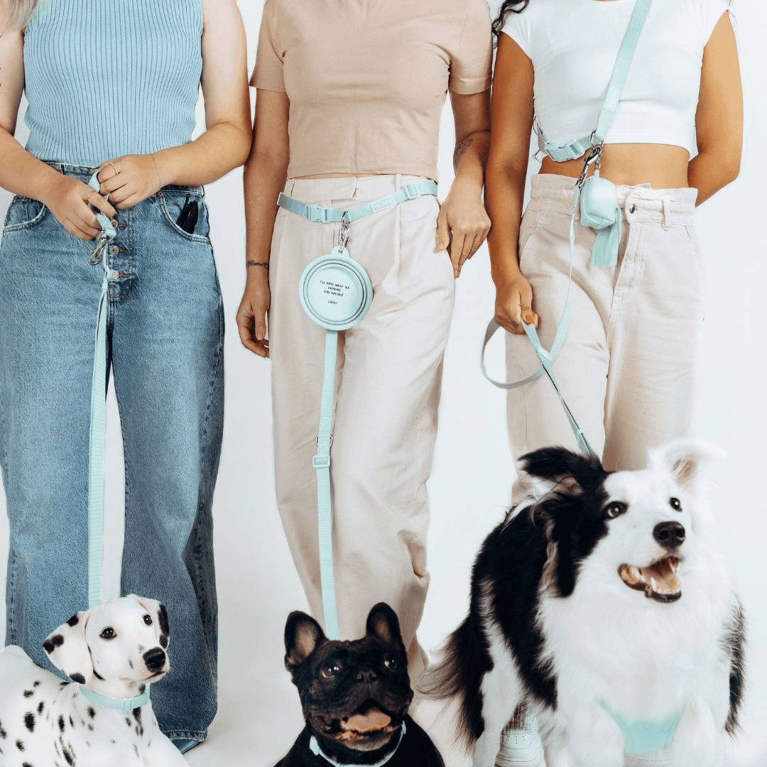 Lomi multifunctional leash