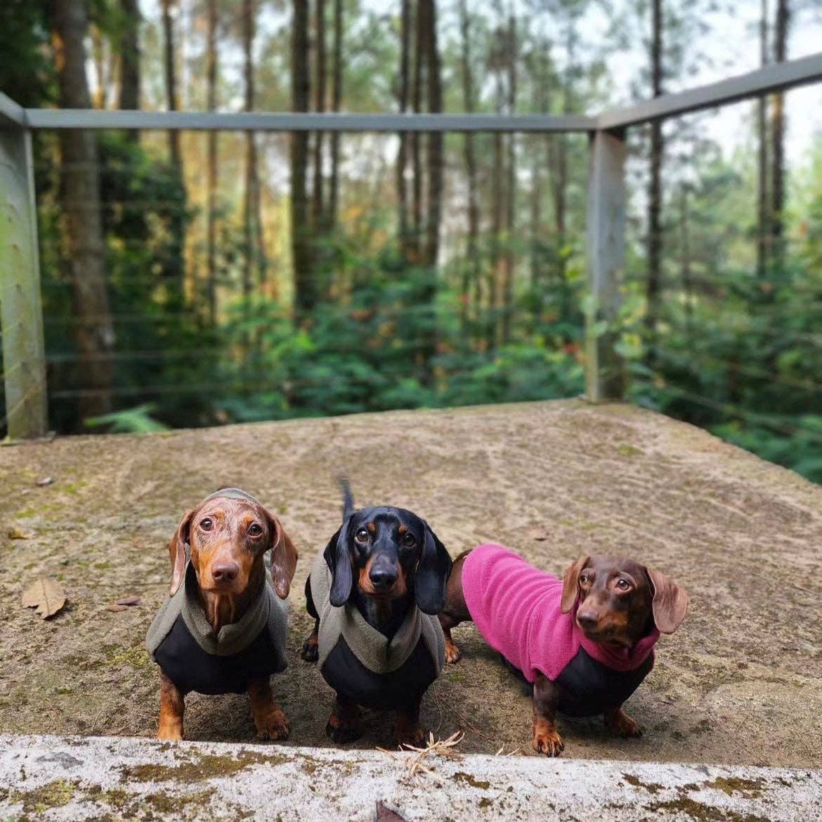 Pull en polaire pour teckel avec panneau imperméable