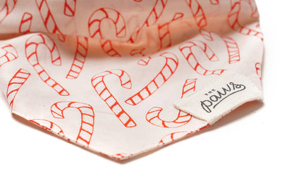 Bandana de Navidad Elfie