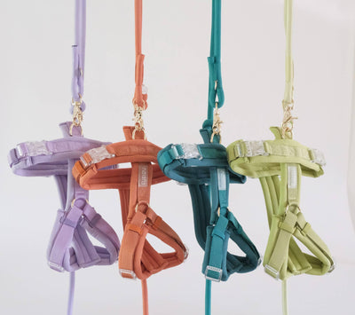 Furlou harness