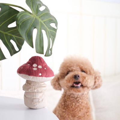 Peluche fungo