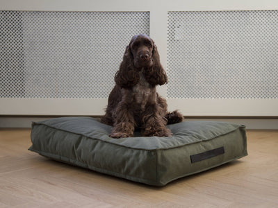 Cuscino per cani Hygge Forrest