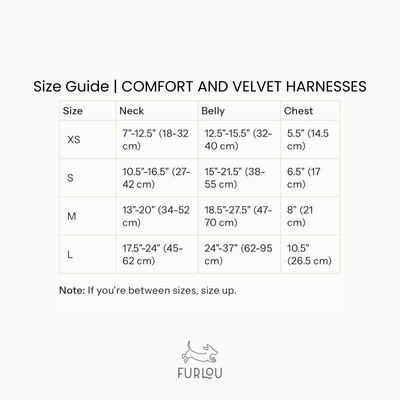 Harnais Furlou Velvet Lilas