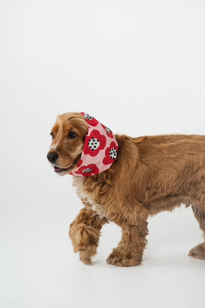 Cocker-Snood Red Flowers