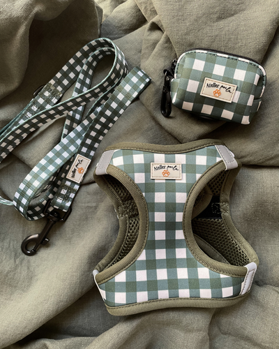 Step-in-Geschirr Vichy vert