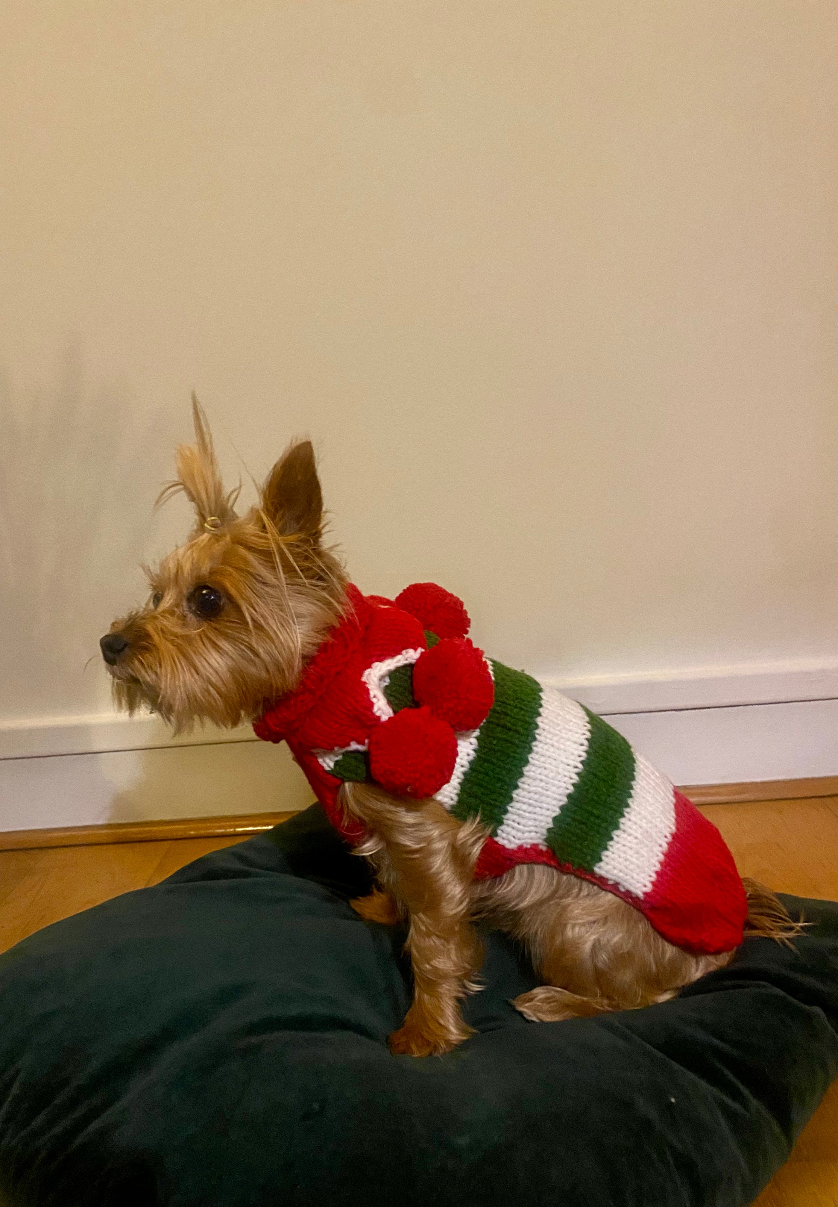 Pull de Noël Elfe