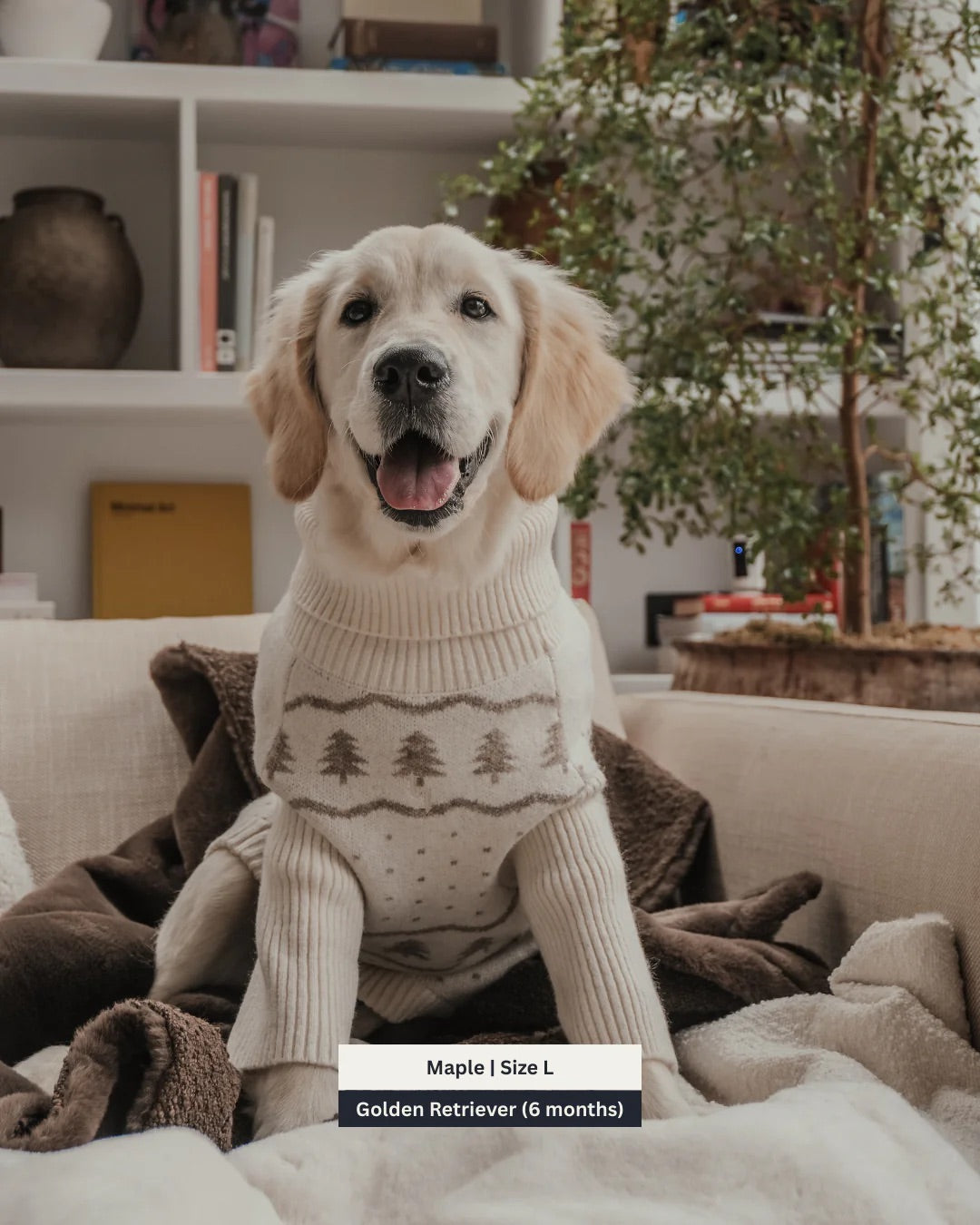 Pull col roulé Winter Trees