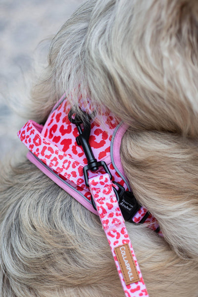 Verstelbare riem Pink Panther