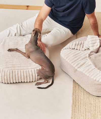 Cordbett mit Kapuze