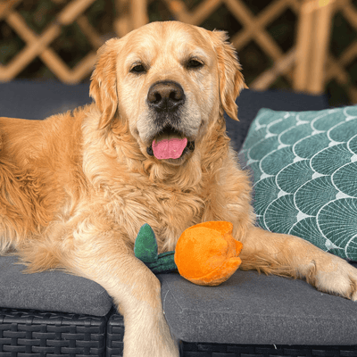 Jouet peluche Tulipe royale