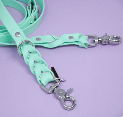 Deluxe Leash - Caribbean Green