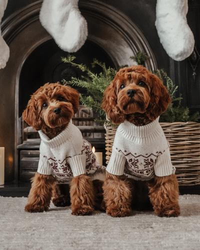 By Teddy - Snowberry | Pull Après-ski en maille à col roulé - S