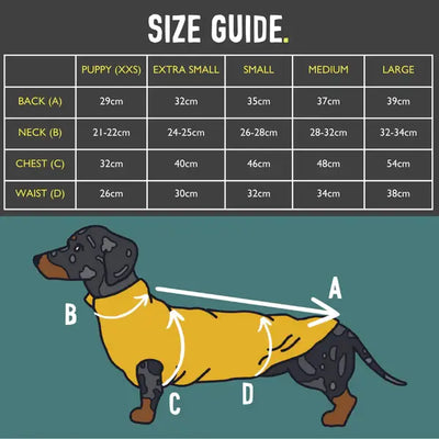 Pull en polaire pour teckel avec panneau imperméable