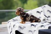 Dachshund Fleece Blanket