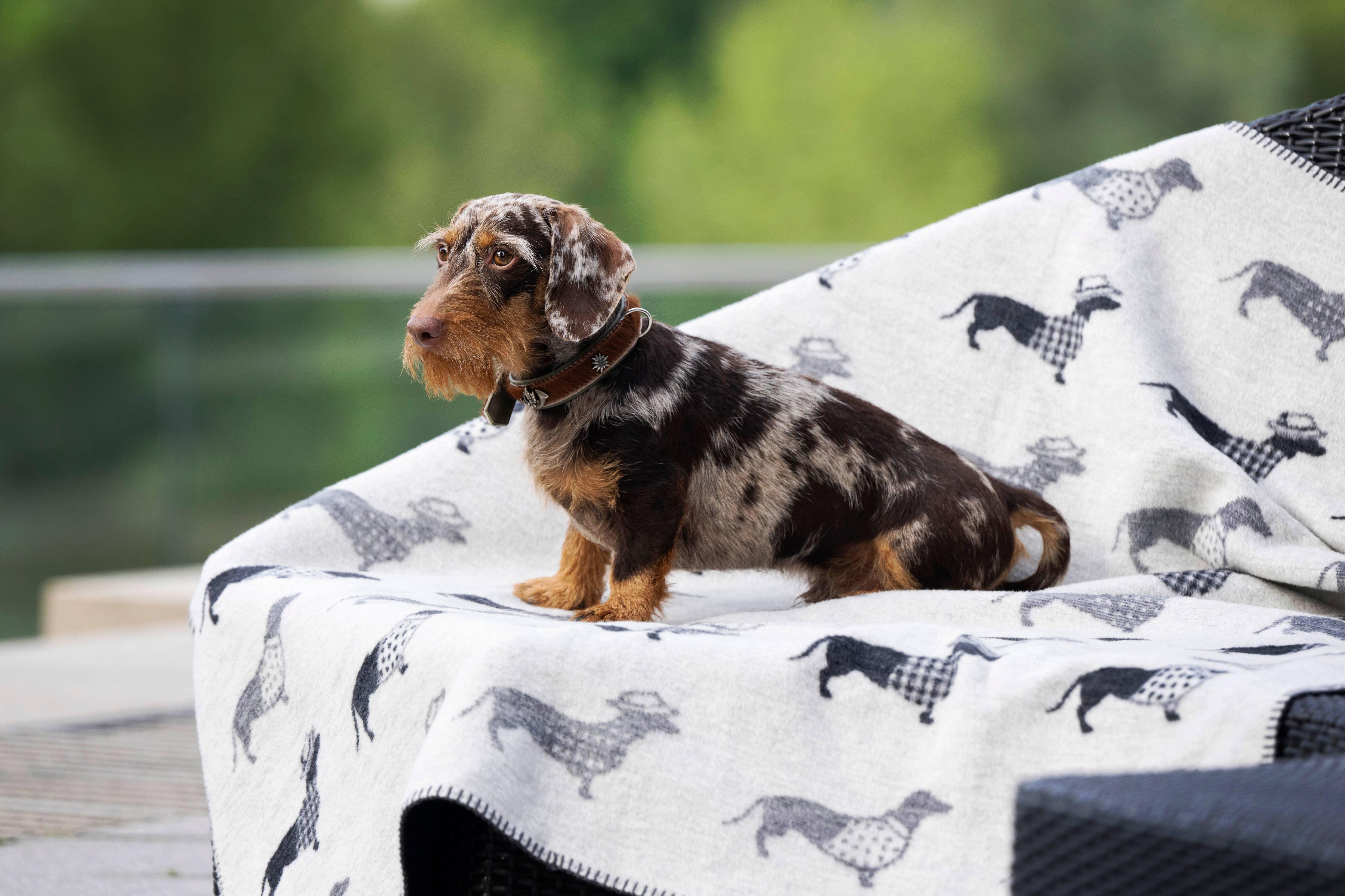 Dachshund Fleece Blanket