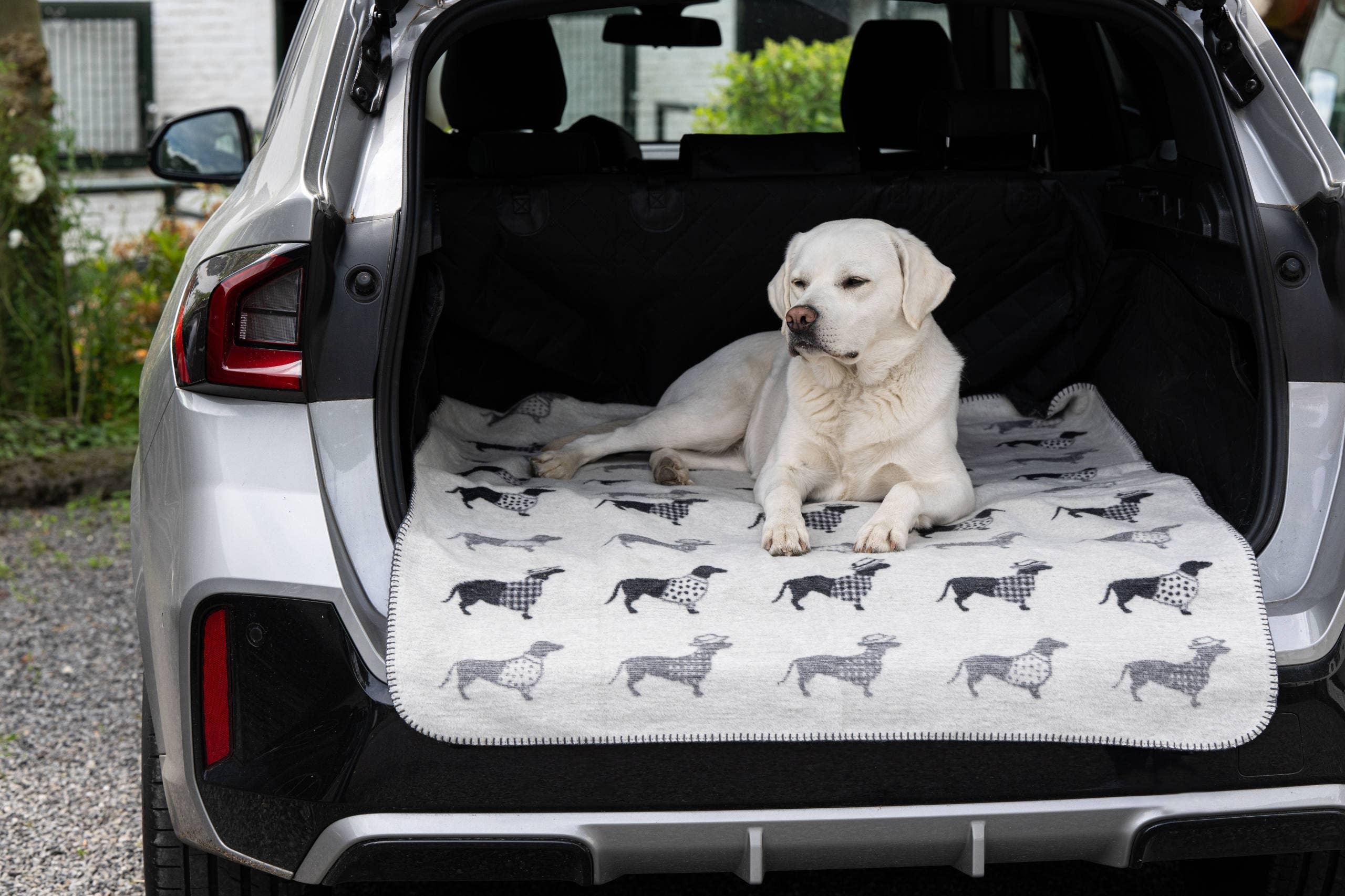 Dachshund Fleece Blanket