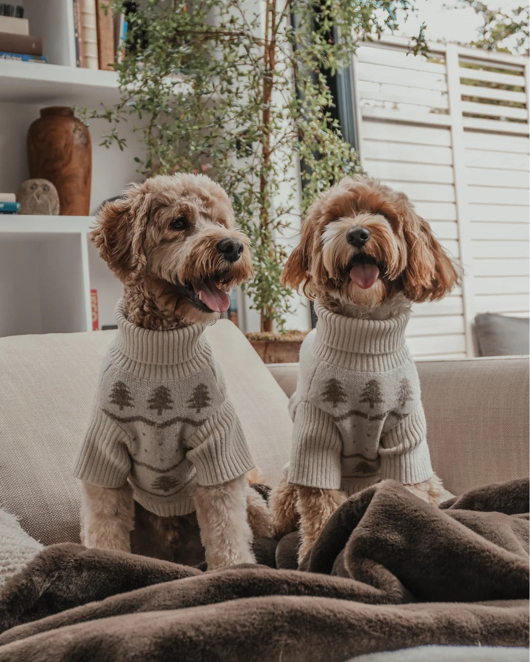 Pull col roulé Winter Trees