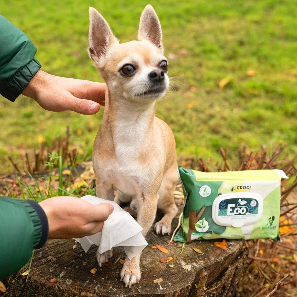Croci - Salviette cani e gatti umidificate - Eco PetWipes - Croci - 30 pz / Argan