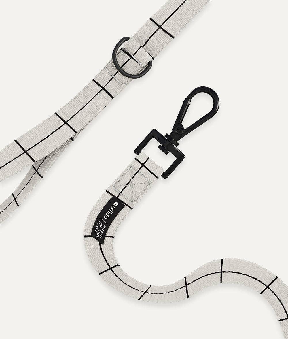 Laisse Linea