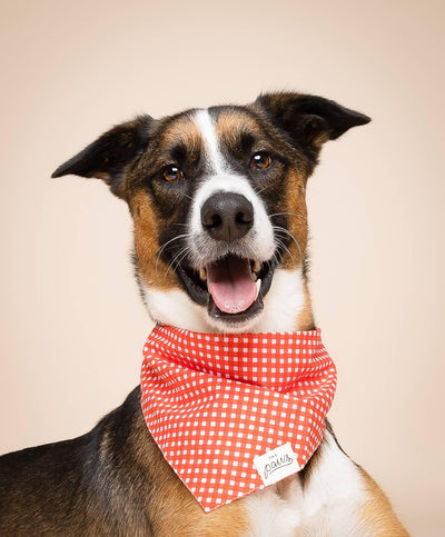 Bandana Vichy Rouge