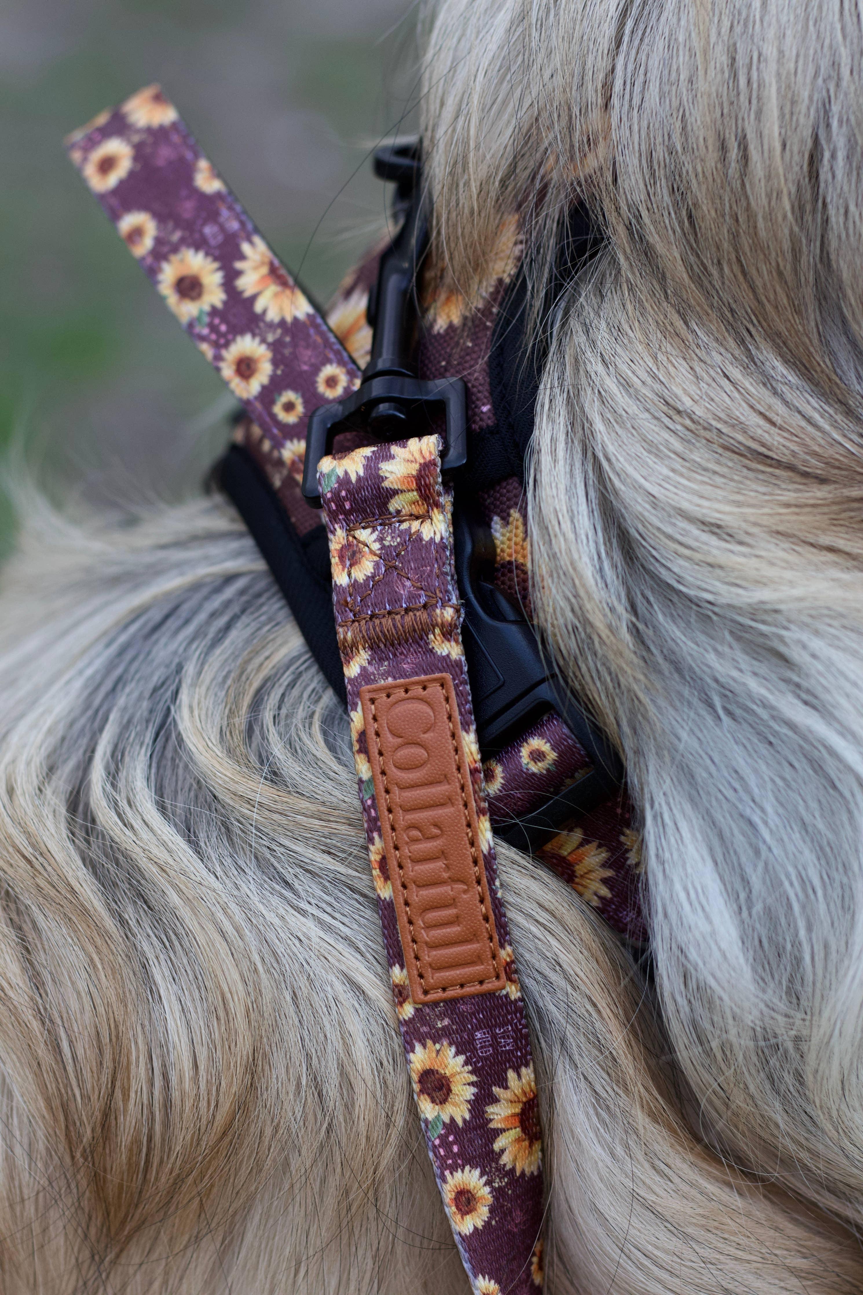 Leash Happy Sunflowers