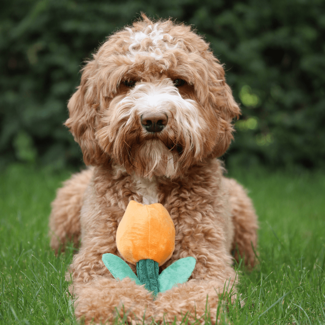 Royal tulip plush toy