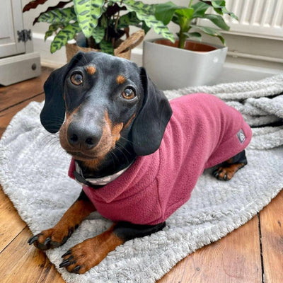 Fleecepullover für Dackel